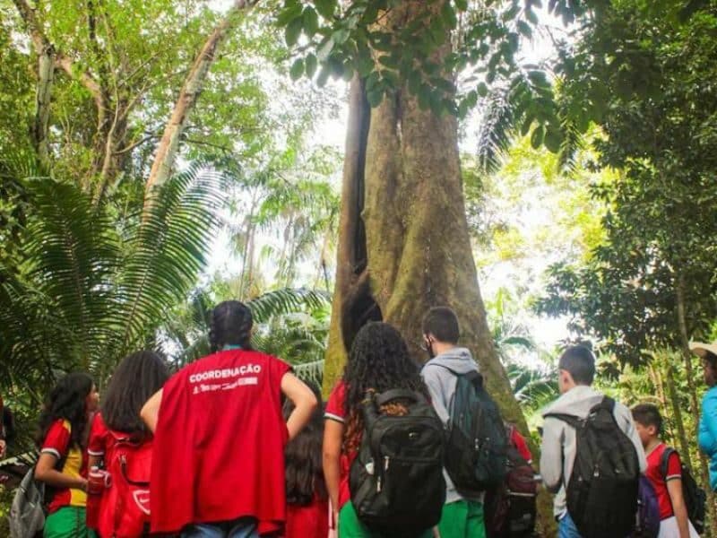 Bosque da Ciência abre para semana da criança (Foto: Instagram/@bosqueinpa)