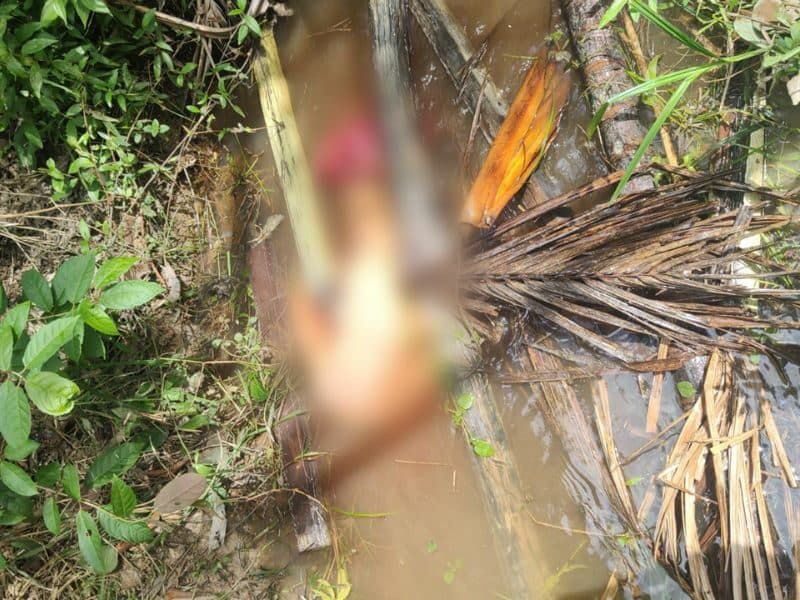 Corpo foi encontrado em área de mata em Manaus. (Foto: Divulgação)