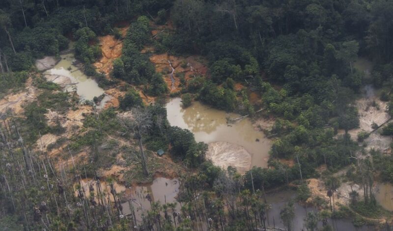 Desmatamento - garimpo ilegal - Amazonas