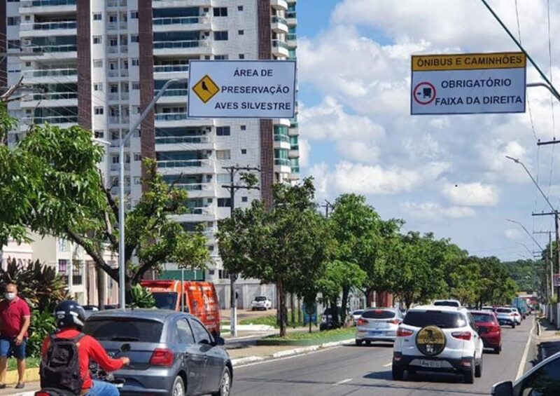 Prefeitura - concurso - Manaus - trânsito